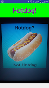 Not Hotdog! penulis hantaran