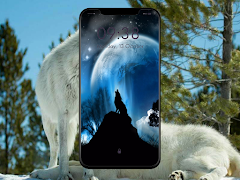 برنامهنما Wolf Wallpaper عکس از صفحه