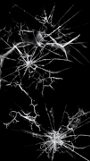 Broken Screen Wallpaper imagem de tela 7
