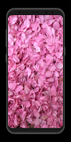 Girly Wallpapers HD ภาพหน้าจอ 2