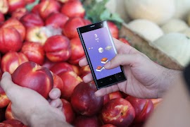 Block Paths captura de pantalla 6