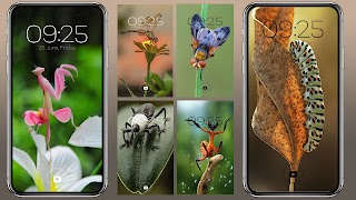 Insect Wallpaper постер