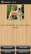 Dog Breeds ภาพหน้าจอ 3