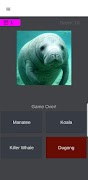 Mammals Enigma - Mammals Trivia Quiz Game imagem de tela 5