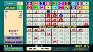 Multi 20 Card Keno 截图 5