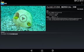 WS Player скриншот 6