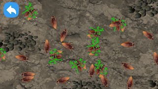 Simulator Nyata Kecoa screenshot 1