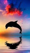 Dolphin Sounds Screenshot 1