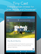 برنامه‌نما Tiny Cast Browser - Cast to Ch عکس از صفحه