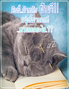 คำคมก่อนนอน ฝันดีราตรีสวัสดิ์ imagem de tela 4