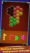 برنامه‌نما Hexa Puzzle Master عکس از صفحه