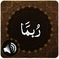 Para 14 Audio