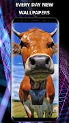 Animals wallpapers for phone screenshot 6