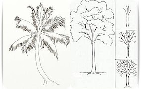 เรียนรู้การวาดต้นไม้ ภาพหน้าจอ 6
