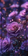 Glitter Wallpaper تصوير الشاشة 2