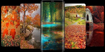 Autumn Wallpaper & Background screenshot 5