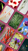 Pix Launcher – Pixel Style UI screenshot 5