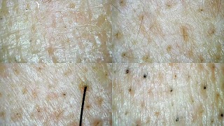 Micro Find New স্ক্রিনশট 1