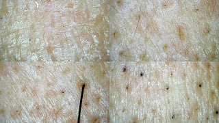 برنامه‌نما Micro Find New عکس از صفحه