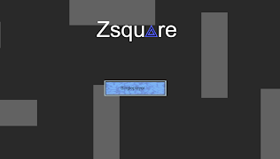 Zsquare poster