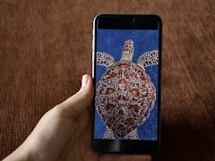 Turtle Wallpaper HD Plakat