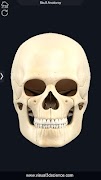 Skull Anatomy Pro. screenshot 2
