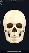 Skull Anatomy Pro. スクリーンショット 2