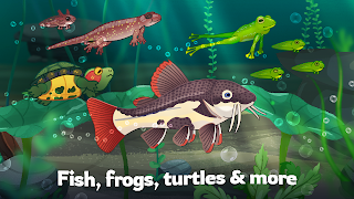 Pondlife — Fish, Frogs & More! screenshot 1