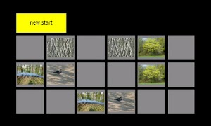 Find Equal Cards ポスター