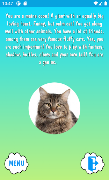 Funny personality tests screenshot 4