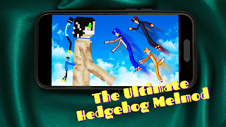 برنامه‌نما Hedgehog Mod Melon Playground عکس از صفحه