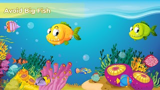 1 Schermata Fish.io