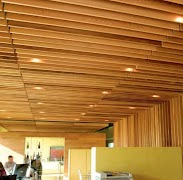 Conceptions de plafond de mais capture d'écran 3