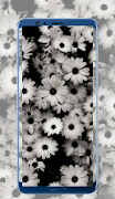 White Wallpapers скриншот 5