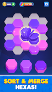 Hexa Stack screenshot 3
