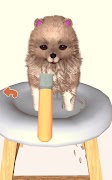 Pet Studio imagem de tela 5
