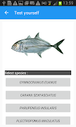 PacFishID imagem de tela 5