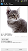 Hack a Picture 截图 3