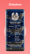 Cat Breeds Assistant screenshot 3