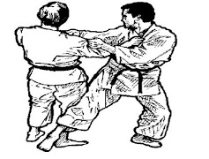 Temel Karate Tekniği Ekran Görüntüsü 2