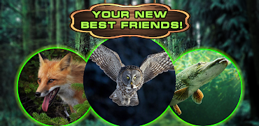 Lizard Simulator screenshot 3