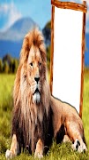 Animals Photos Frames screenshot 5