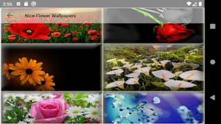 Bonita flor captura de pantalla 4