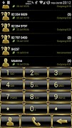 Theme for ExDialer Frame Gold2 海报