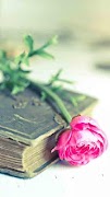 HD Wallpapers syot layar 2