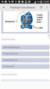 Antibiotics ภาพหน้าจอ 6