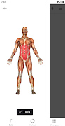 Stark Kettlebell screenshot 4