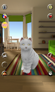 Talking Cute Cat poster