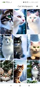 AI Cats Wallpapers poster