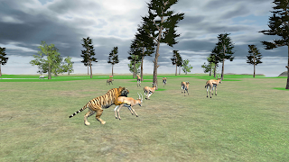 Angry Wild Tiger Attack Sim 3D Ekran Görüntüsü 6